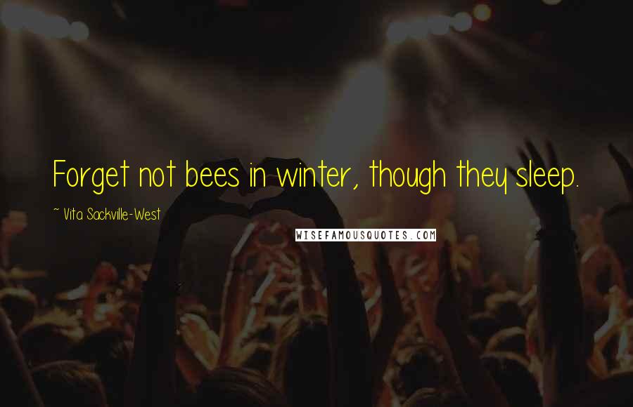 Vita Sackville-West Quotes: Forget not bees in winter, though they sleep.