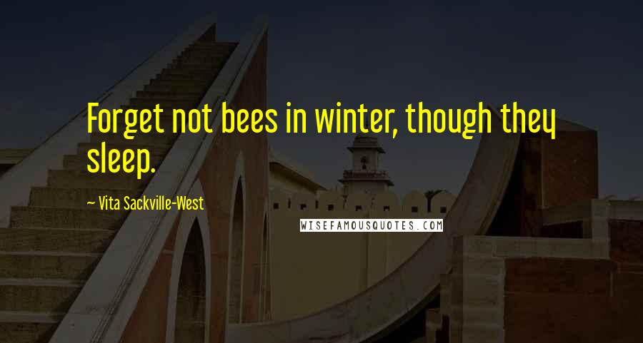 Vita Sackville-West Quotes: Forget not bees in winter, though they sleep.