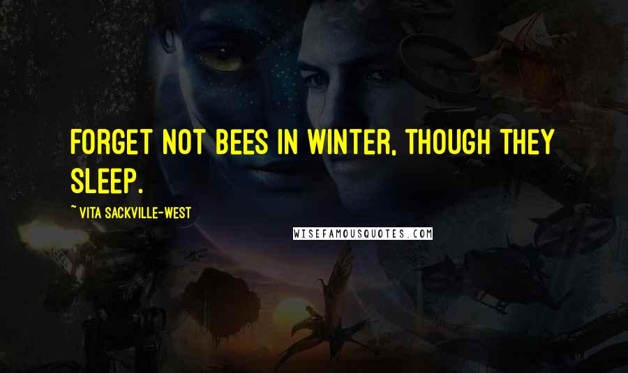 Vita Sackville-West Quotes: Forget not bees in winter, though they sleep.