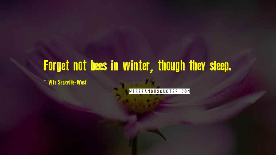 Vita Sackville-West Quotes: Forget not bees in winter, though they sleep.