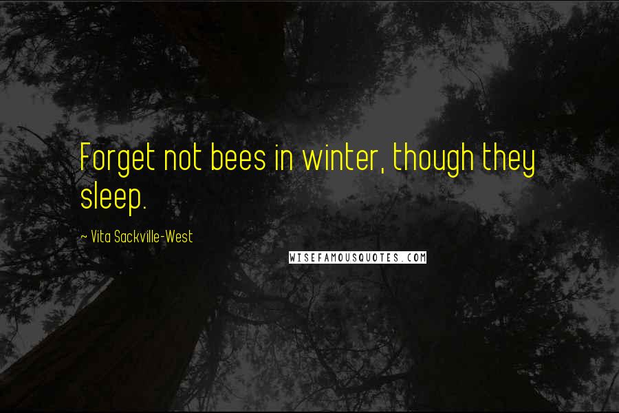 Vita Sackville-West Quotes: Forget not bees in winter, though they sleep.