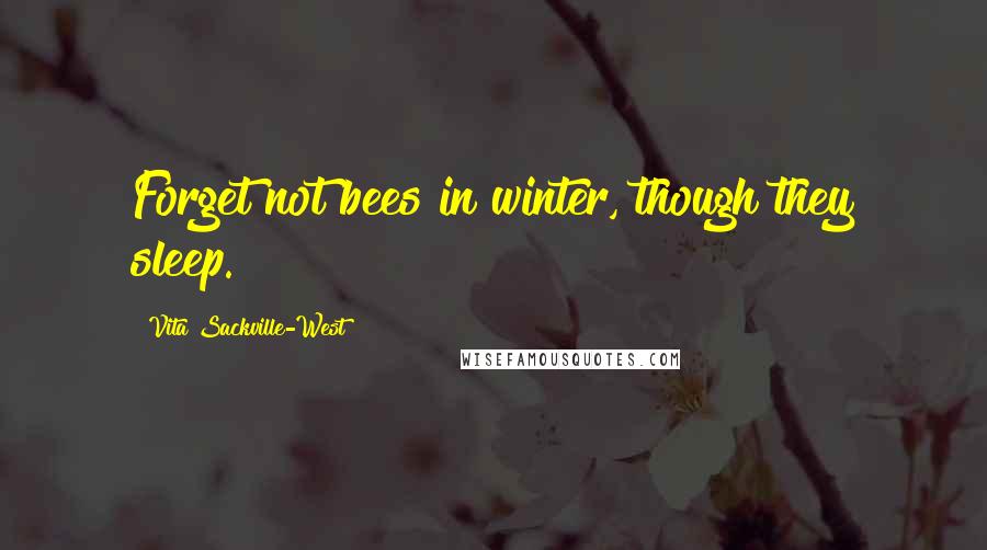 Vita Sackville-West Quotes: Forget not bees in winter, though they sleep.