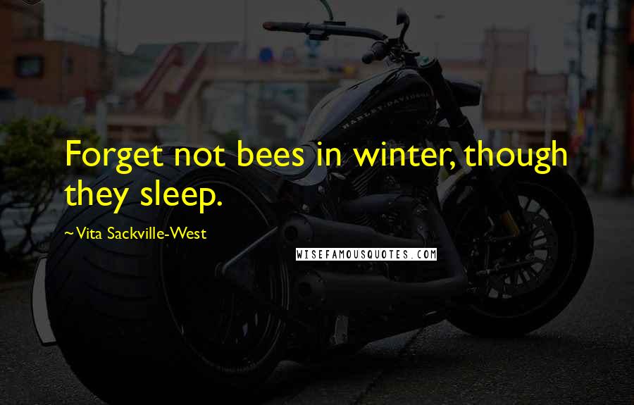 Vita Sackville-West Quotes: Forget not bees in winter, though they sleep.