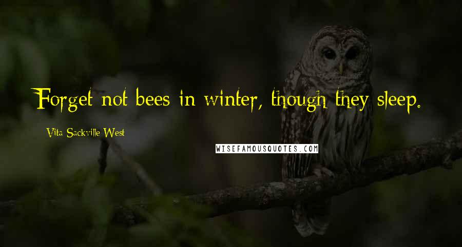 Vita Sackville-West Quotes: Forget not bees in winter, though they sleep.