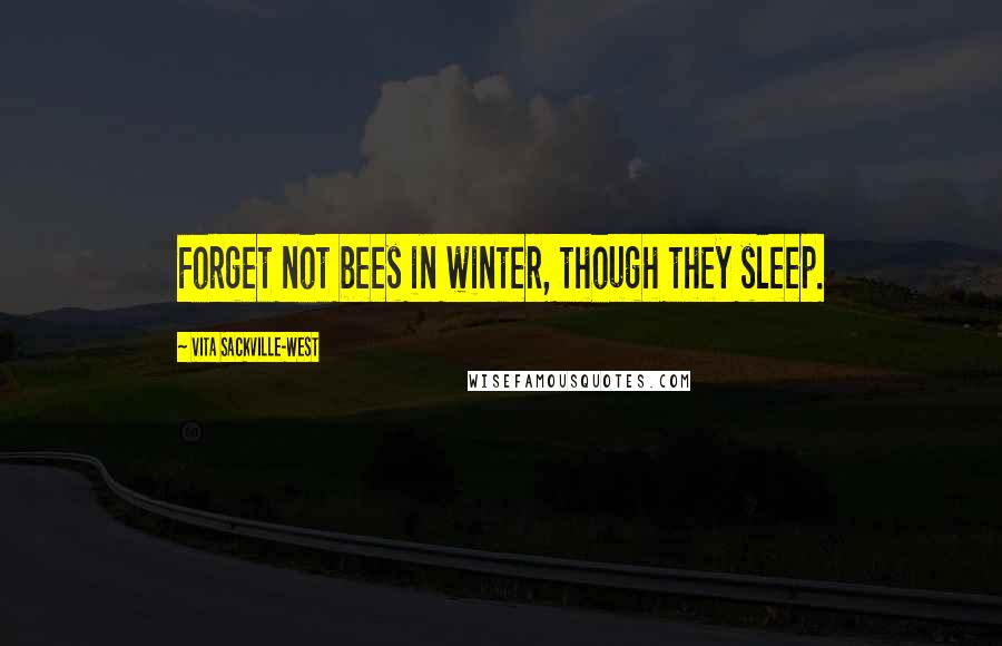 Vita Sackville-West Quotes: Forget not bees in winter, though they sleep.