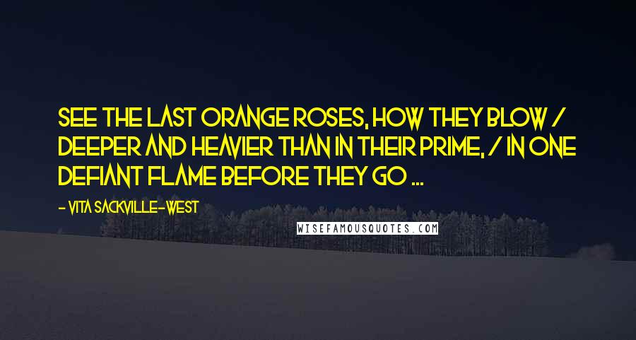 Vita Sackville-West Quotes: See the last orange roses, how they blow / Deeper and heavier than in their prime, / In one defiant flame before they go ...