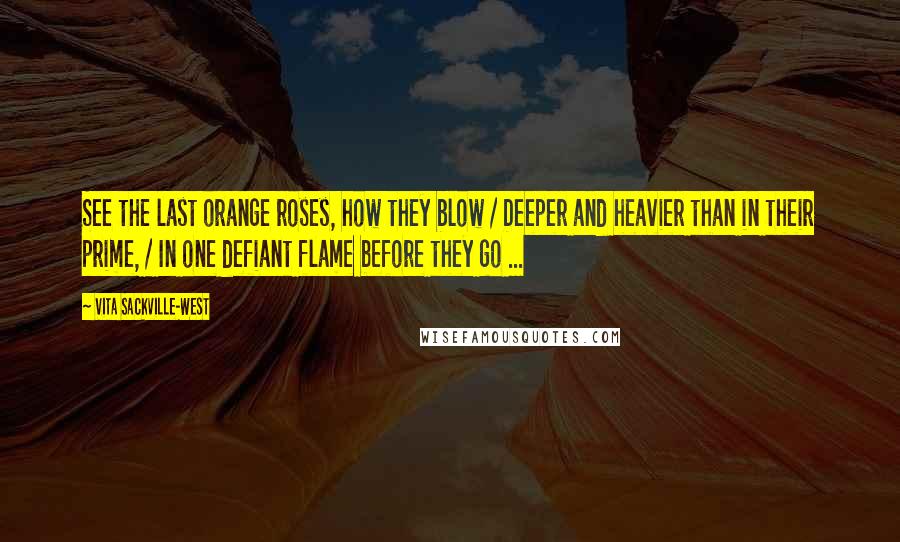 Vita Sackville-West Quotes: See the last orange roses, how they blow / Deeper and heavier than in their prime, / In one defiant flame before they go ...