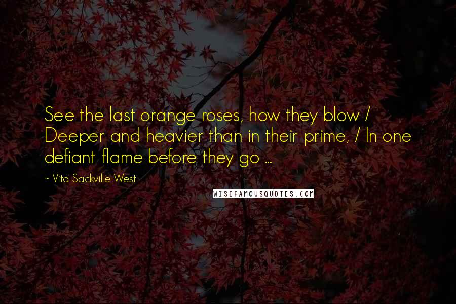 Vita Sackville-West Quotes: See the last orange roses, how they blow / Deeper and heavier than in their prime, / In one defiant flame before they go ...