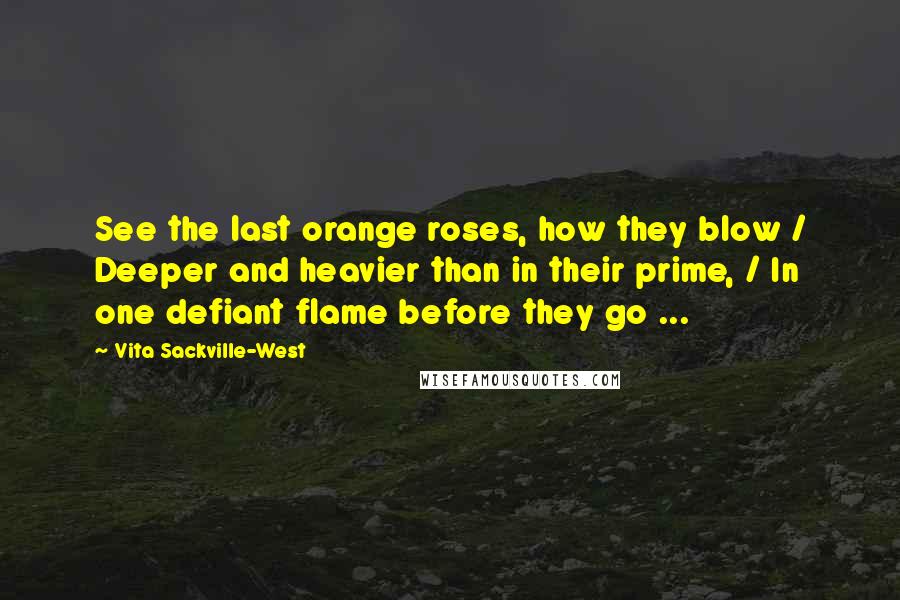 Vita Sackville-West Quotes: See the last orange roses, how they blow / Deeper and heavier than in their prime, / In one defiant flame before they go ...