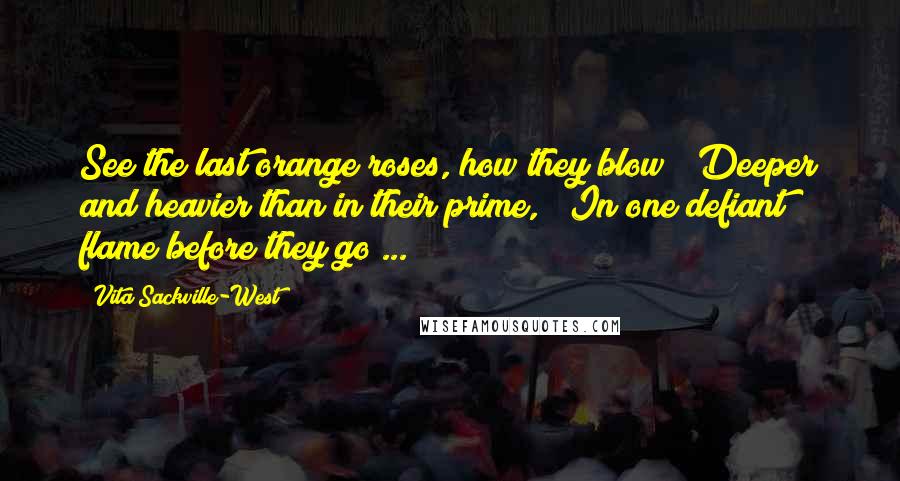 Vita Sackville-West Quotes: See the last orange roses, how they blow / Deeper and heavier than in their prime, / In one defiant flame before they go ...