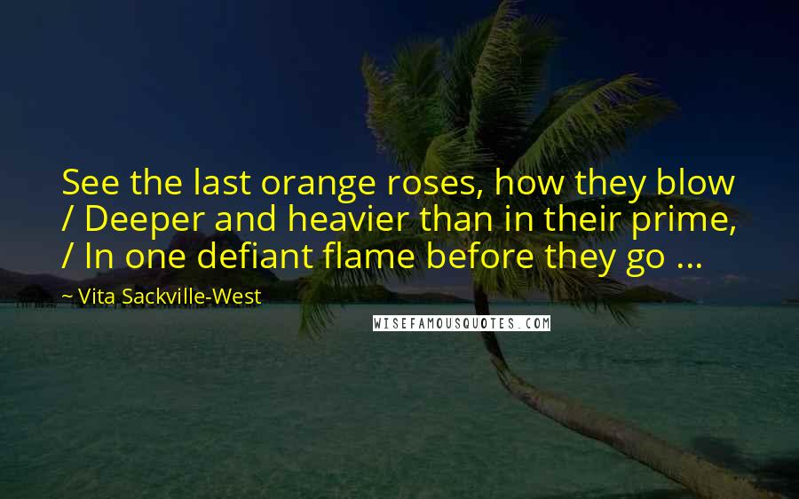 Vita Sackville-West Quotes: See the last orange roses, how they blow / Deeper and heavier than in their prime, / In one defiant flame before they go ...