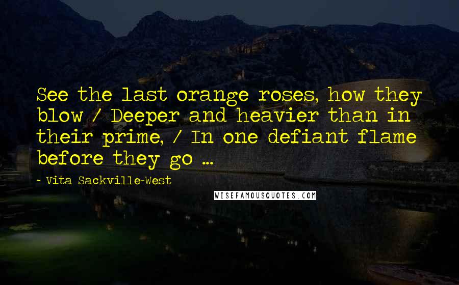 Vita Sackville-West Quotes: See the last orange roses, how they blow / Deeper and heavier than in their prime, / In one defiant flame before they go ...