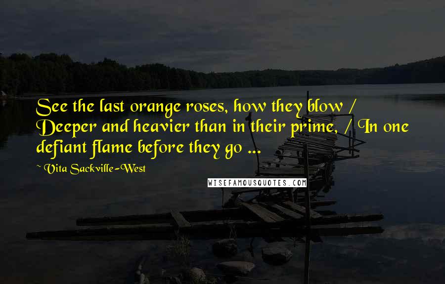 Vita Sackville-West Quotes: See the last orange roses, how they blow / Deeper and heavier than in their prime, / In one defiant flame before they go ...