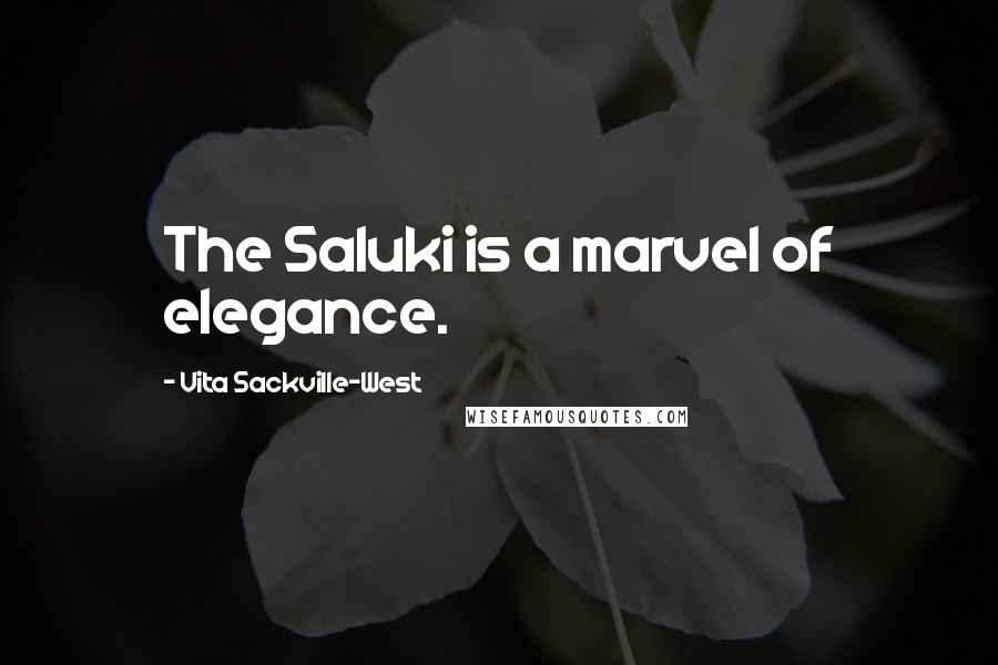 Vita Sackville-West Quotes: The Saluki is a marvel of elegance.