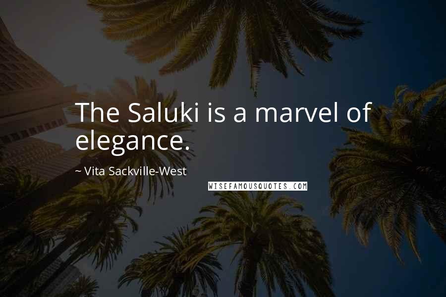 Vita Sackville-West Quotes: The Saluki is a marvel of elegance.