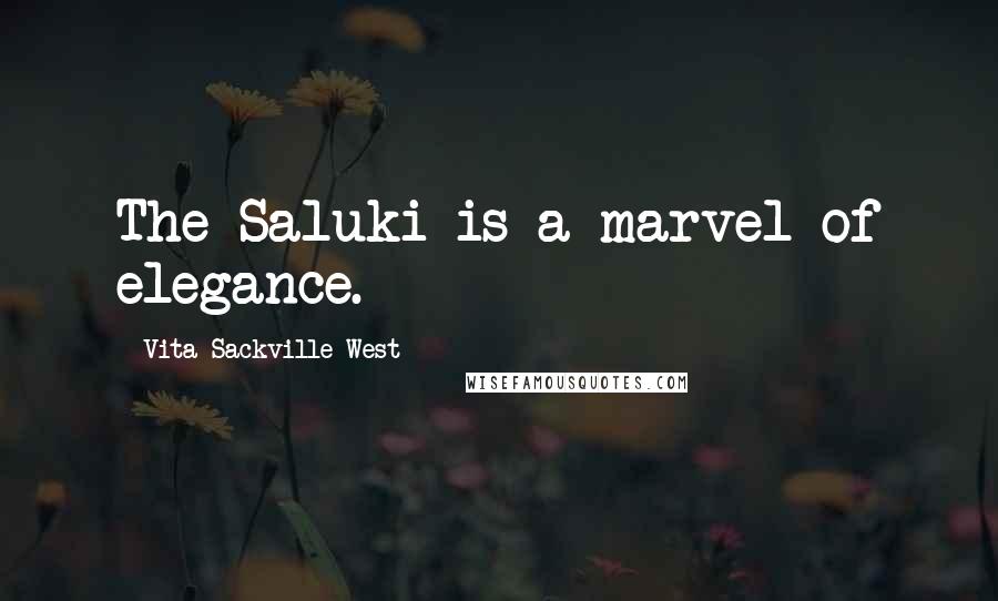 Vita Sackville-West Quotes: The Saluki is a marvel of elegance.