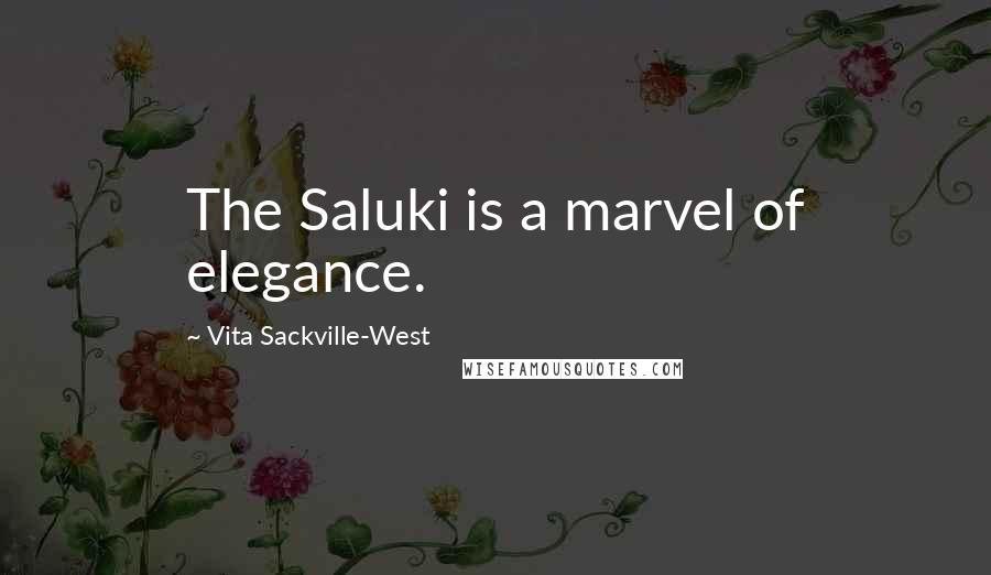 Vita Sackville-West Quotes: The Saluki is a marvel of elegance.