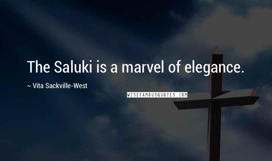 Vita Sackville-West Quotes: The Saluki is a marvel of elegance.