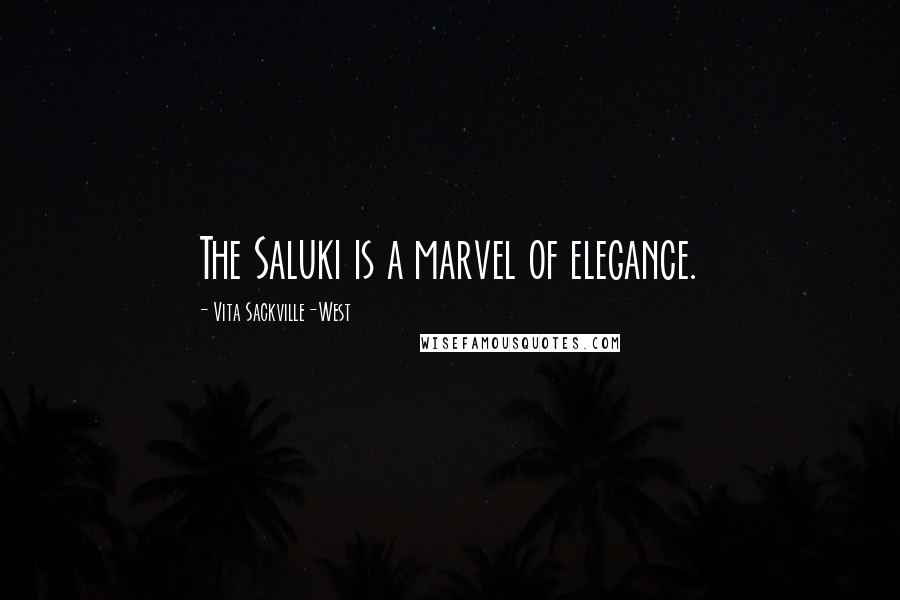 Vita Sackville-West Quotes: The Saluki is a marvel of elegance.