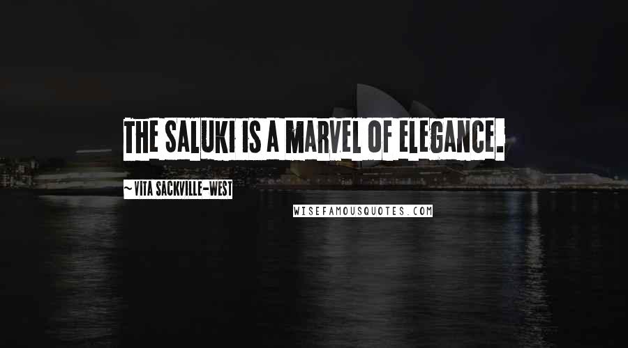 Vita Sackville-West Quotes: The Saluki is a marvel of elegance.