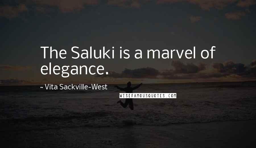 Vita Sackville-West Quotes: The Saluki is a marvel of elegance.