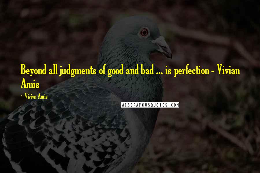 Vivian Amis Quotes: Beyond all judgments of good and bad ... is perfection - Vivian Amis