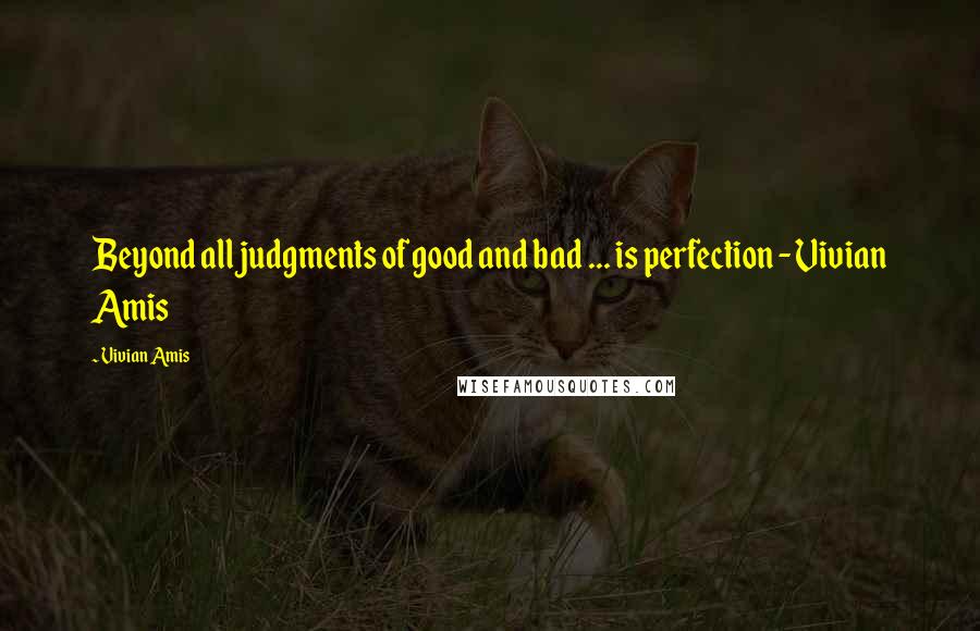 Vivian Amis Quotes: Beyond all judgments of good and bad ... is perfection - Vivian Amis