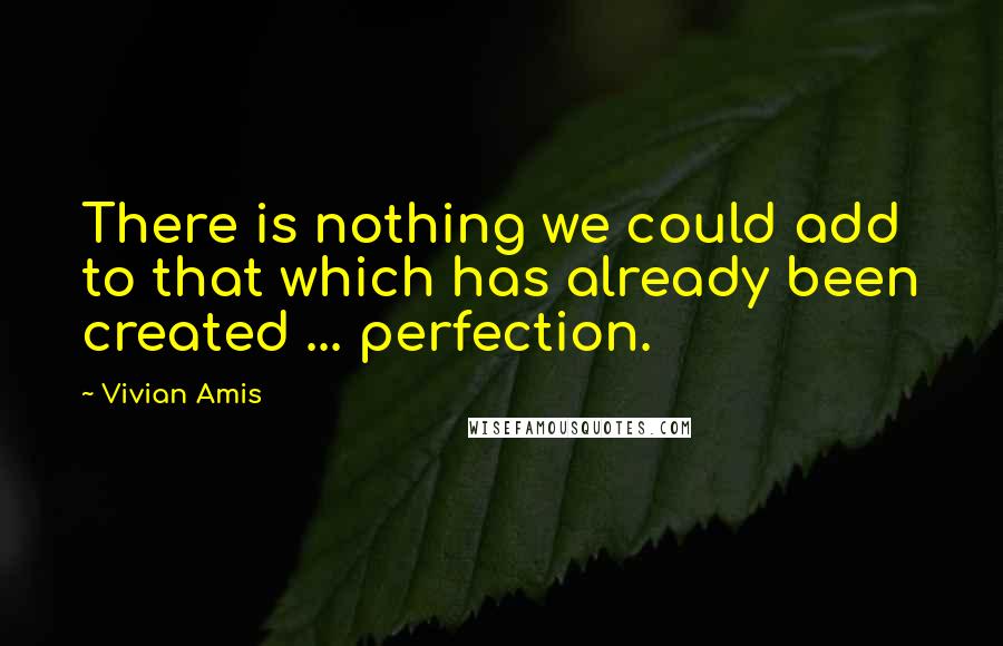 Vivian Amis Quotes: There is nothing we could add to that which has already been created ... perfection.