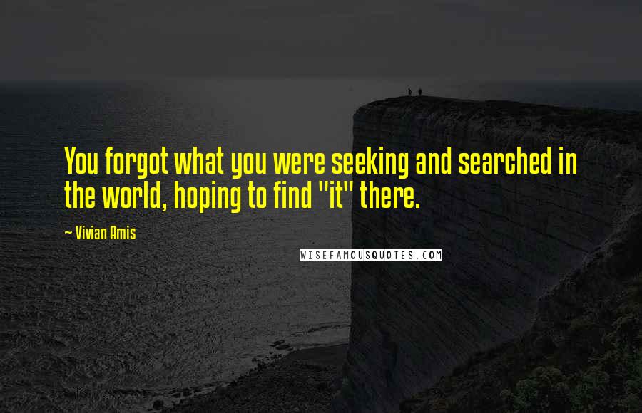 Vivian Amis Quotes: You forgot what you were seeking and searched in the world, hoping to find "it" there.
