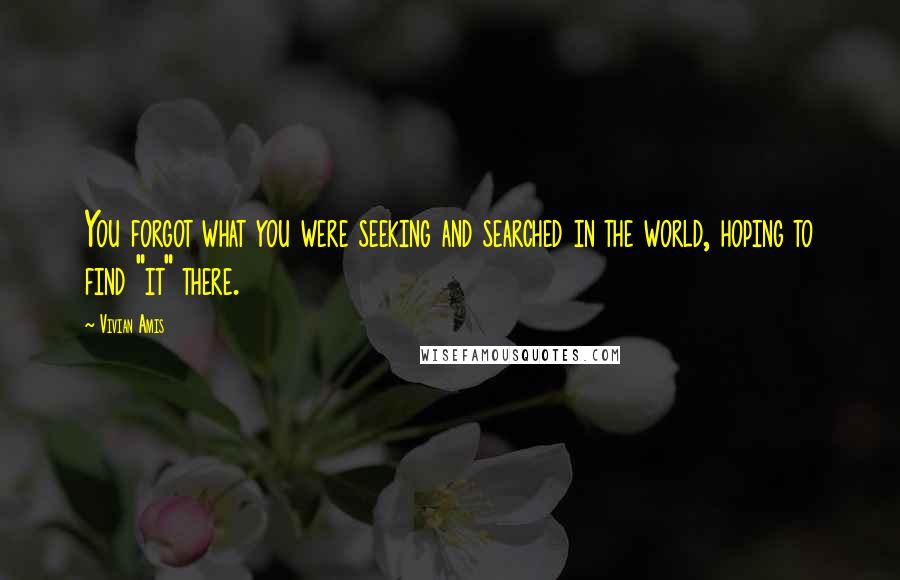 Vivian Amis Quotes: You forgot what you were seeking and searched in the world, hoping to find "it" there.