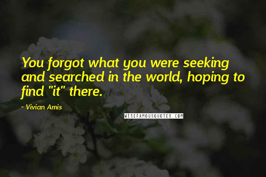 Vivian Amis Quotes: You forgot what you were seeking and searched in the world, hoping to find "it" there.