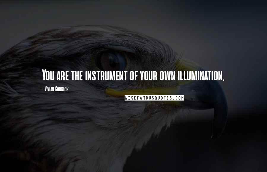 Vivian Gornick Quotes: You are the instrument of your own illumination.