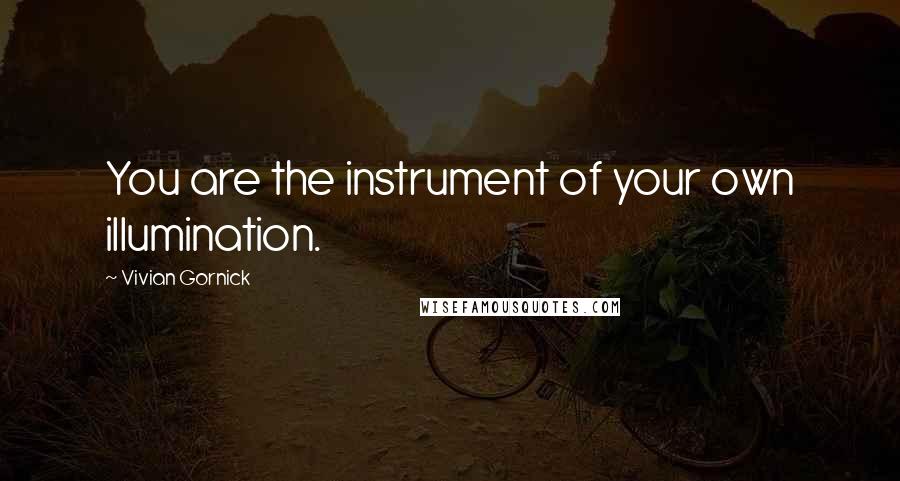 Vivian Gornick Quotes: You are the instrument of your own illumination.