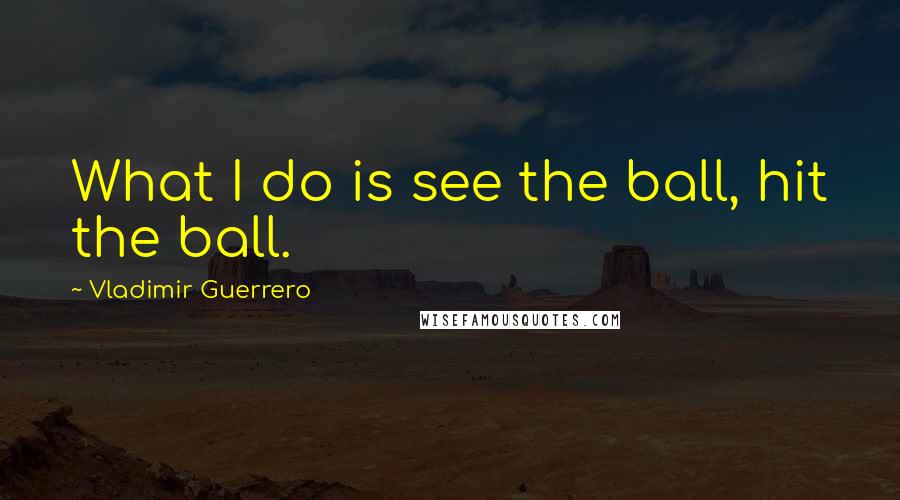 Vladimir Guerrero Quotes: What I do is see the ball, hit the ball.