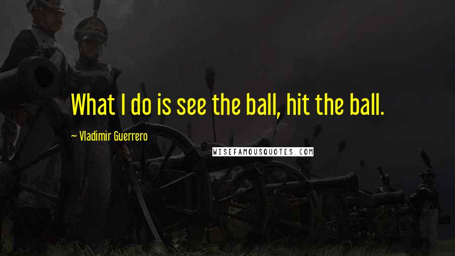 Vladimir Guerrero Quotes: What I do is see the ball, hit the ball.