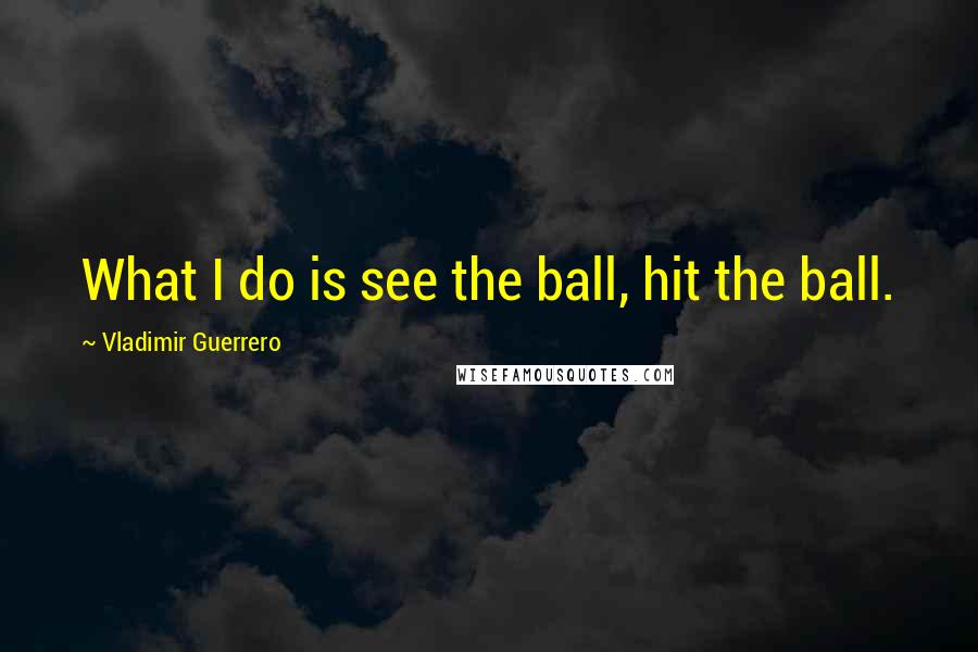 Vladimir Guerrero Quotes: What I do is see the ball, hit the ball.