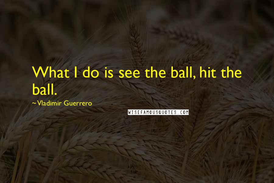 Vladimir Guerrero Quotes: What I do is see the ball, hit the ball.