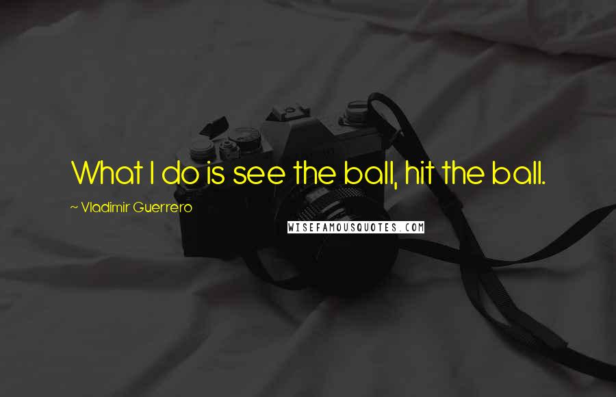 Vladimir Guerrero Quotes: What I do is see the ball, hit the ball.