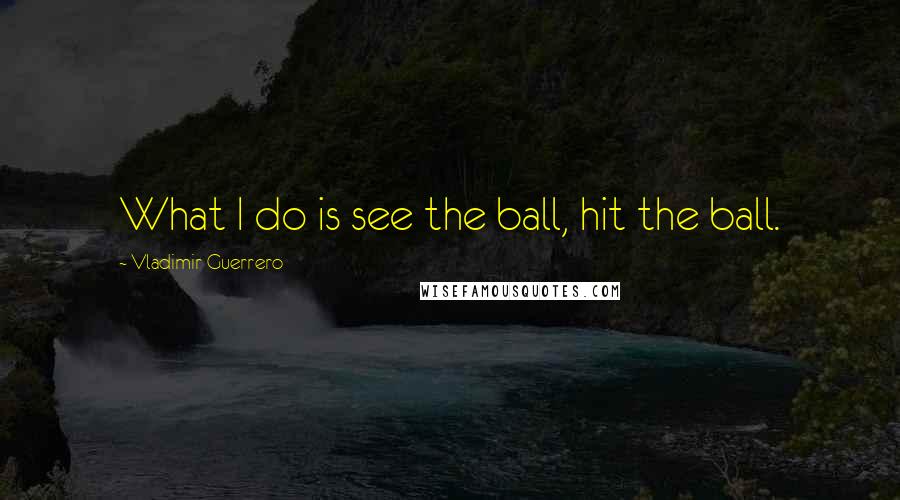 Vladimir Guerrero Quotes: What I do is see the ball, hit the ball.