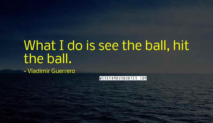 Vladimir Guerrero Quotes: What I do is see the ball, hit the ball.