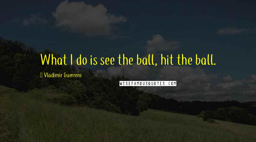 Vladimir Guerrero Quotes: What I do is see the ball, hit the ball.