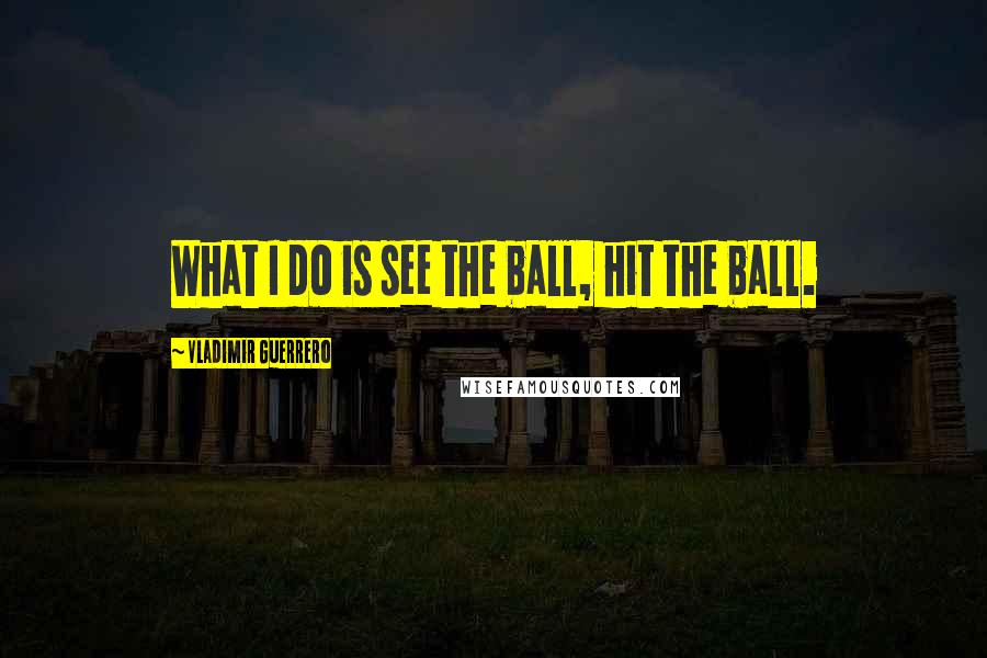 Vladimir Guerrero Quotes: What I do is see the ball, hit the ball.
