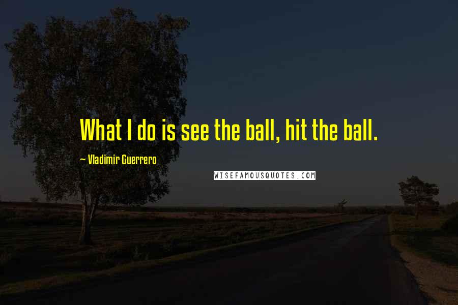 Vladimir Guerrero Quotes: What I do is see the ball, hit the ball.