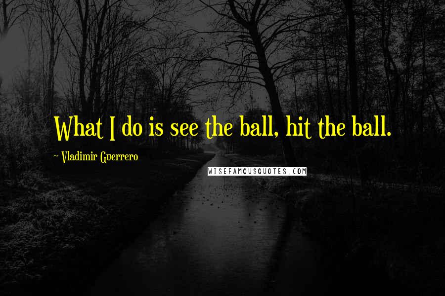 Vladimir Guerrero Quotes: What I do is see the ball, hit the ball.