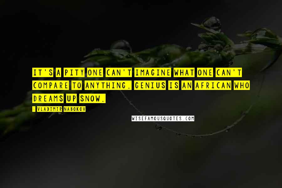 Vladimir Nabokov Quotes: It's a pity one can't imagine what one can't compare to anything. Genius is an African who dreams up snow.