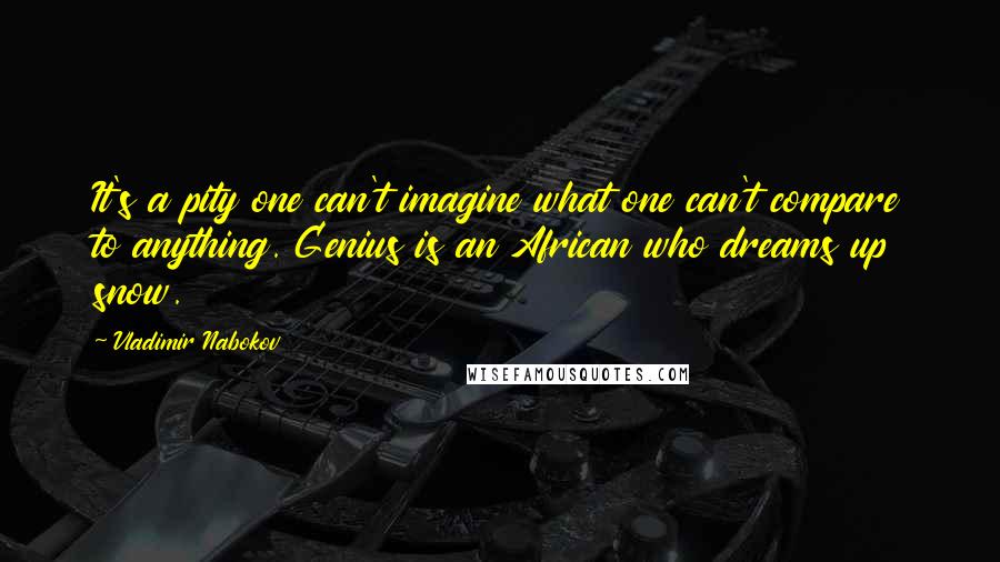 Vladimir Nabokov Quotes: It's a pity one can't imagine what one can't compare to anything. Genius is an African who dreams up snow.