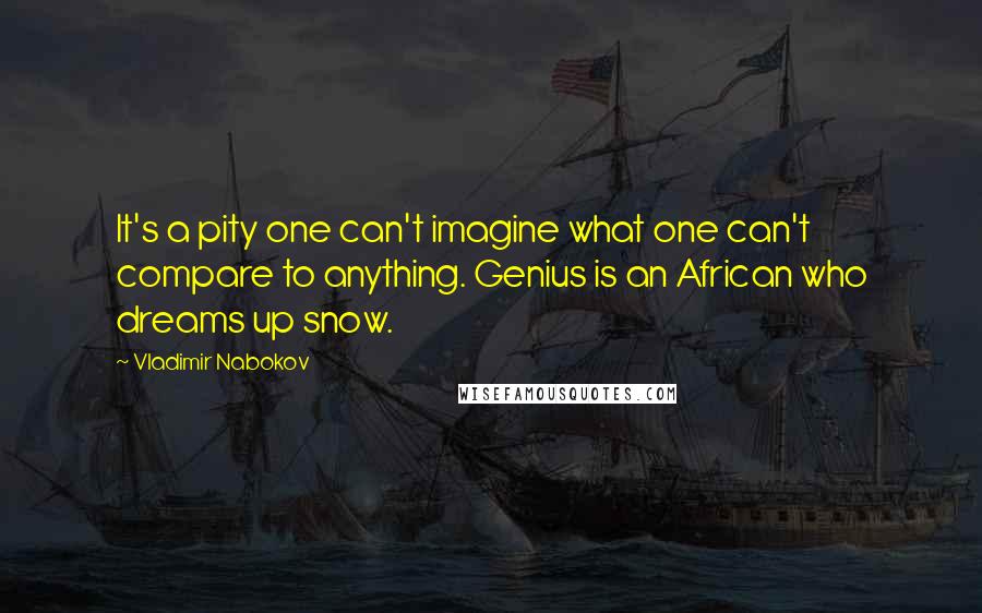 Vladimir Nabokov Quotes: It's a pity one can't imagine what one can't compare to anything. Genius is an African who dreams up snow.