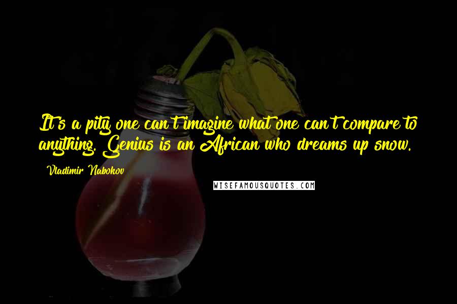 Vladimir Nabokov Quotes: It's a pity one can't imagine what one can't compare to anything. Genius is an African who dreams up snow.