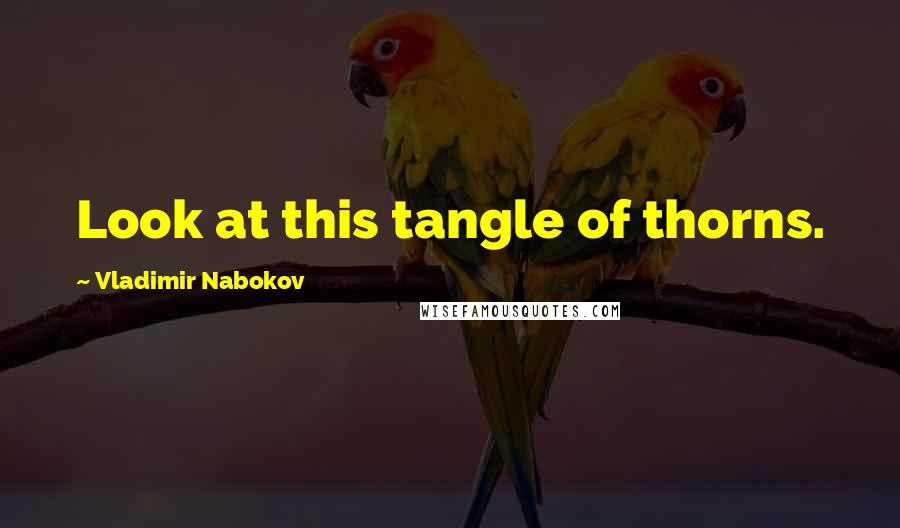 Vladimir Nabokov Quotes: Look at this tangle of thorns.