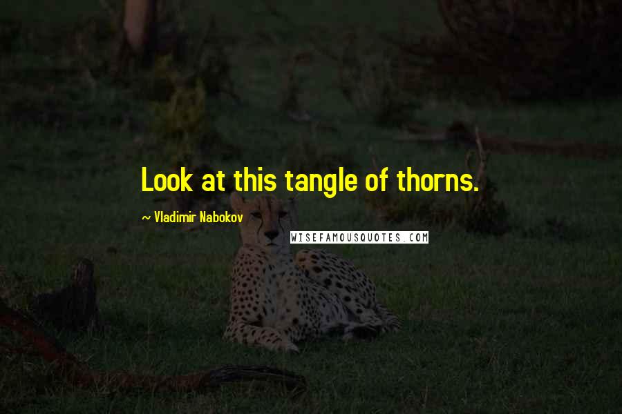 Vladimir Nabokov Quotes: Look at this tangle of thorns.